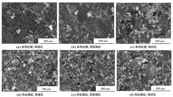 圖２ 熱處理前后焊接接頭焊縫區(qū)、熱影響區(qū)和母材區(qū)的取向成像圖