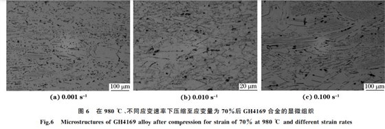 圖６ 在９８０ ℃、不同應(yīng)變速率下壓縮至應(yīng)變量為７０％