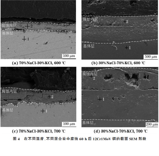 在不同溫度、不同混合鹽中腐蝕６０h后１２Cr１MoV鋼的截面SEM 形貌