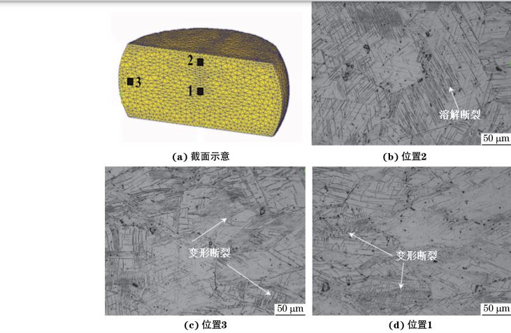 在９８０ ℃、應(yīng)變速率為０．０１０s－１下壓縮至應(yīng)變量為３０％后