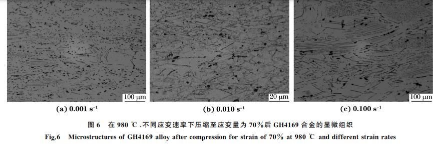 圖６ 在９８０ ℃、不同應(yīng)變速率下壓縮至應(yīng)變量為７０％